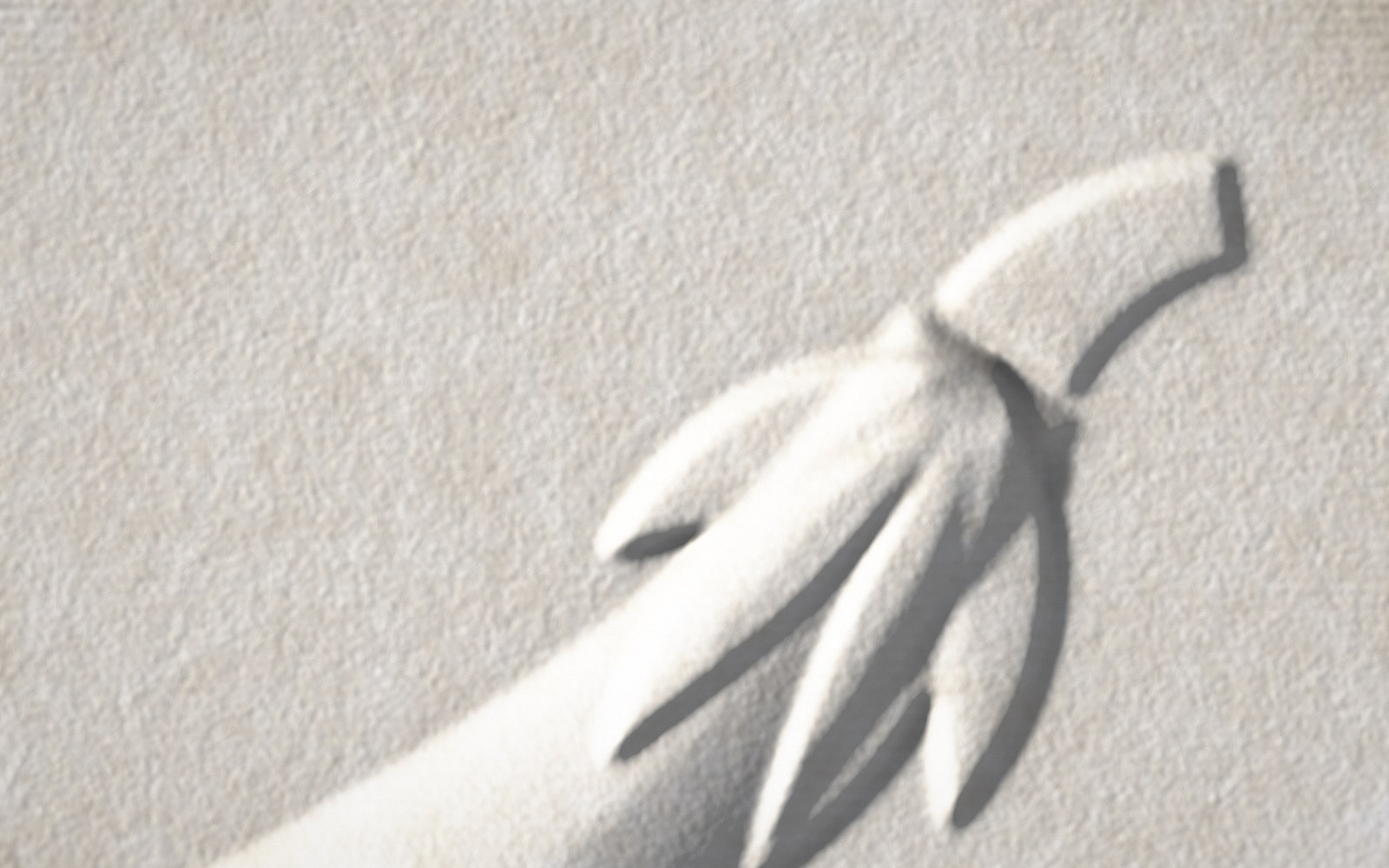 Raking light across a blind-embossed cotton print, showing the calyx of a long, slender eggplant standing above its neck, with crisp edges and deep shadows.