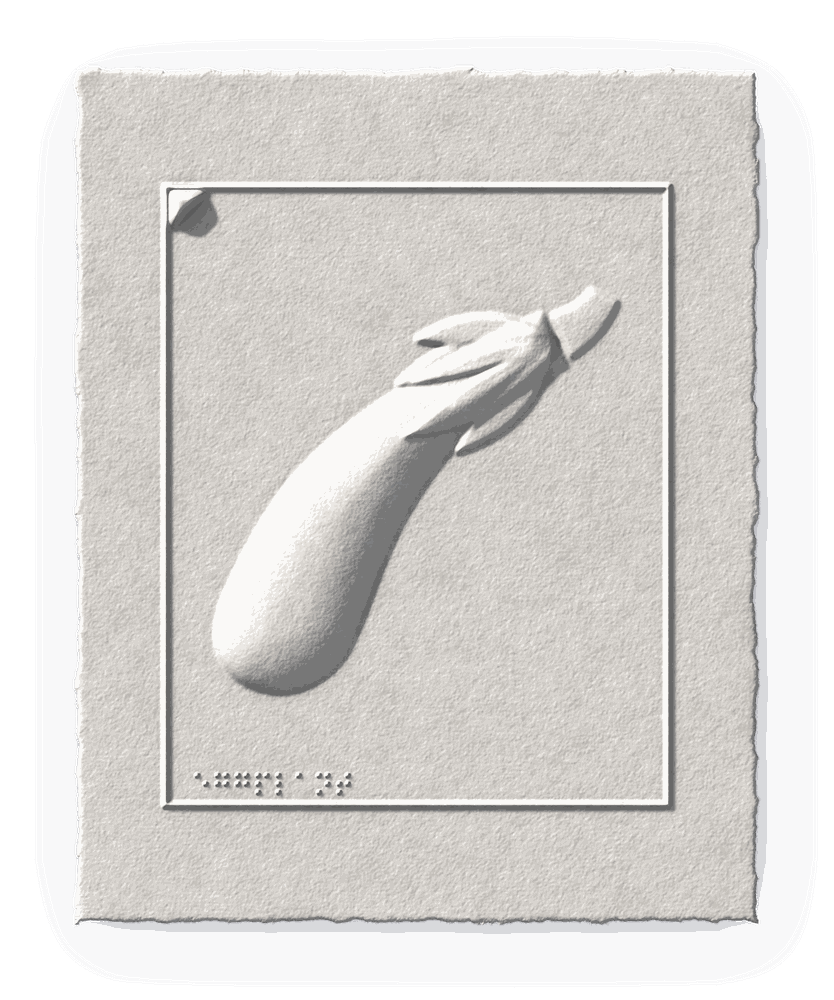 A long, slender eggplant shape blind-embossed into white cotton paper, with tall, clearly sculpted relief.